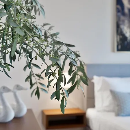 Anastasia With Private Heated Pool And Privacy