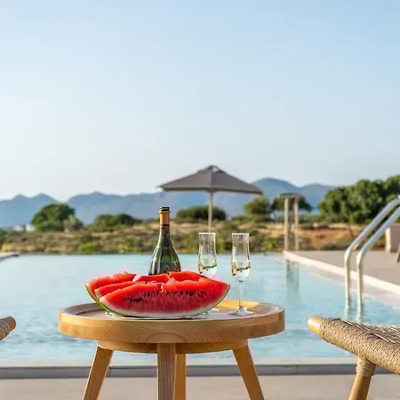 Villa Anastasia With Private Heated Pool And Privacy La Canea